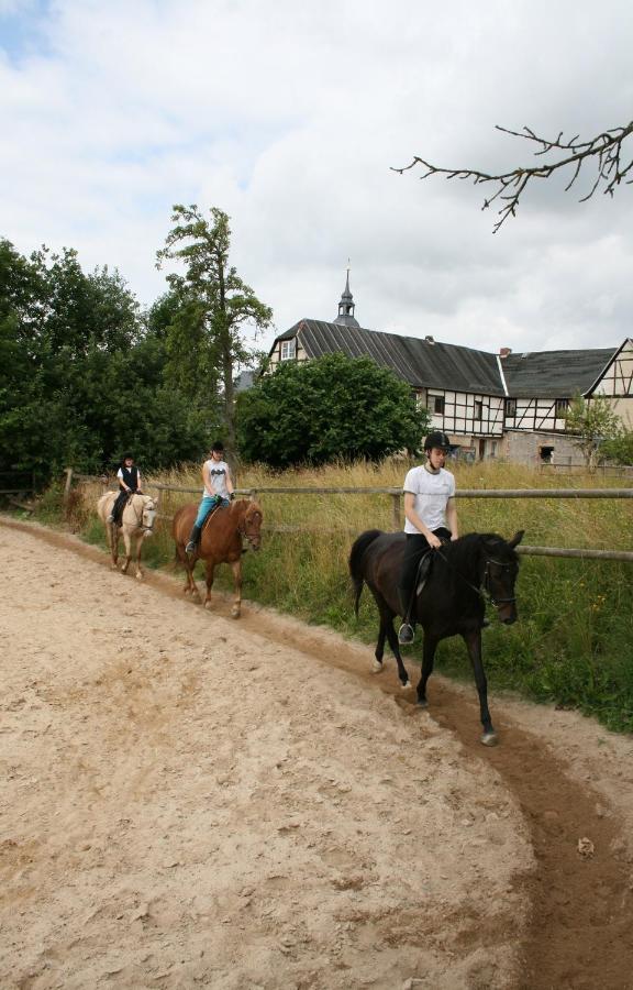 Pferd - Spass - Entspannung Staitz Eksteriør bilde