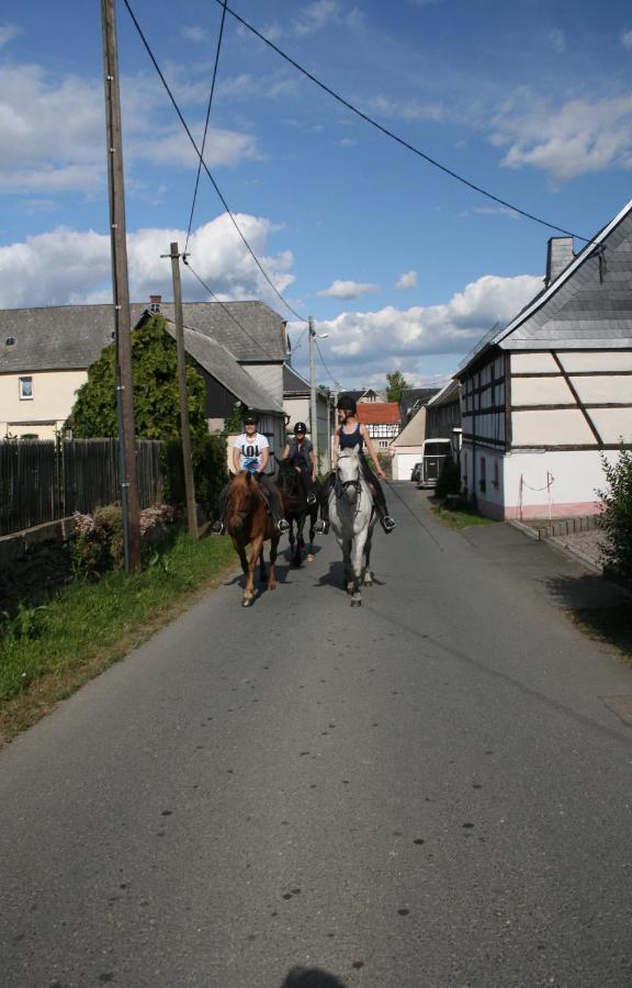 Pferd - Spass - Entspannung Staitz Eksteriør bilde